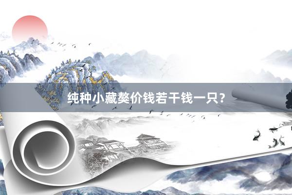 纯种小藏獒价钱若干钱一只？